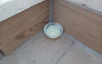 Vaseline & Sugar Trap: How to Keep Pests at Bay the Natural Way