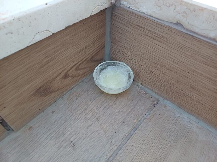 Roach and ant traps DIY