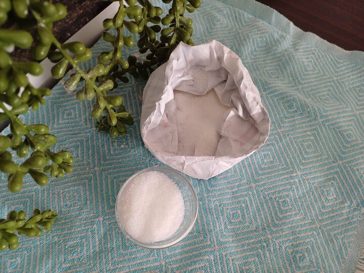 Homemade sugar ant trap