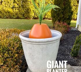 Zanahorias gigantes en maceta