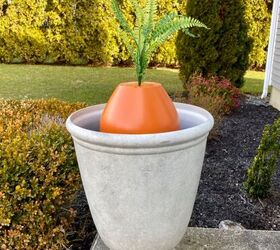 zanahorias gigantes en maceta