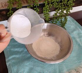 How to make a borax and flour solution for ants and roaches