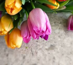 haz un jarrn con repollo para un arreglo floral ahora, tulipanes