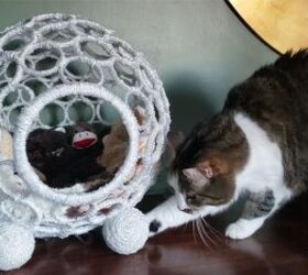 un poco convencional en forma de bola cama para gatos diy