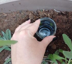 Bury the container in soil