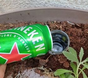 Beer trap for slugs and snails