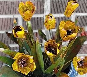 tulipn en lata de refresco latas de aluminio recicladas