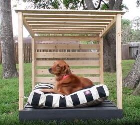 How to Build an Easy DIY Dog Cabana With Wondercide