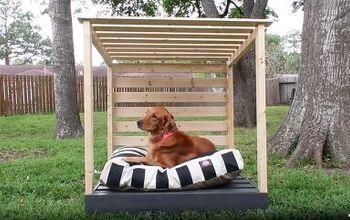 How to Build an Easy DIY Dog Cabana With Wondercide