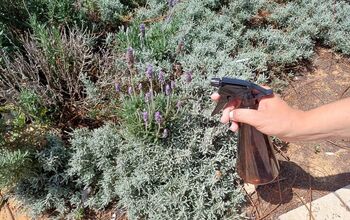 How to Make a Mouthwash Mosquito Repellent: A Simple Summer Solution