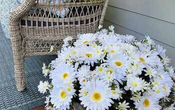 Make a Bucket Full of Daisies to Brighten up Your Porch!