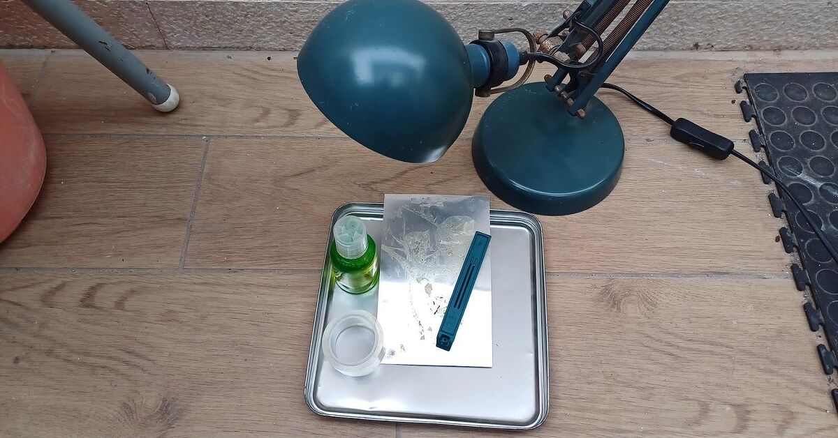 How To Make A Homemade Stink Bug Trap DIY Guide For Pest Control How to make a homemade stink bug trap diy guide for pest control