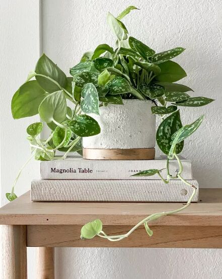 DIY textured planter by by Jessica