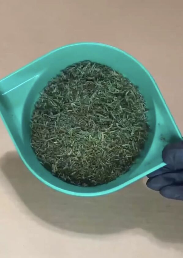 Bowl of moss