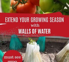 Cómo extender la temporada de cultivo con paredes de agua