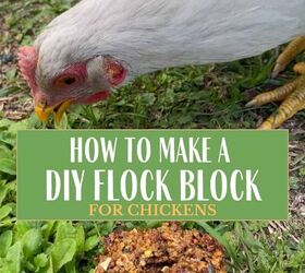 bloque de bricolaje para gallinas, C mo hacer un bloque de reba o de bricolaje para los pollos