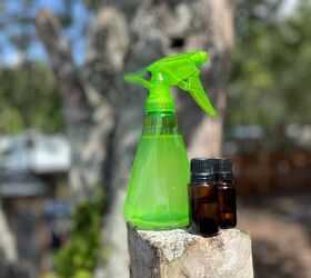 cmo hacer un insecticida casero con aceites esenciales, Foto An Off Grid Life