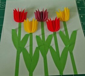 marco tulipanes de primavera