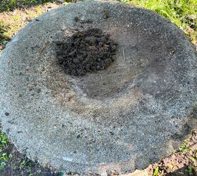 The smart & beautiful reason everyone should add a few rocks to their bird bath