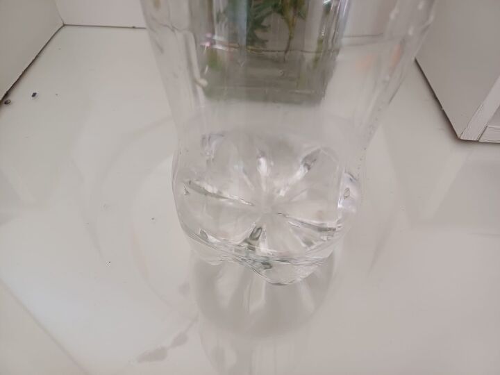 DIY fly trap indoor or outdoor