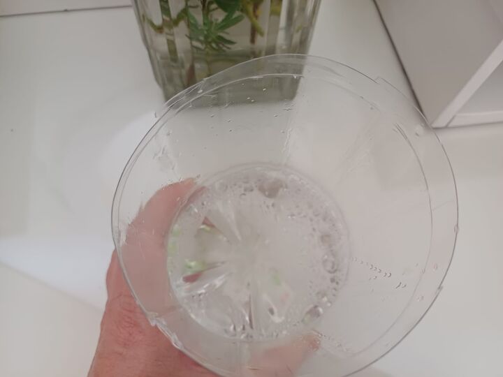 Adding water and dish soap