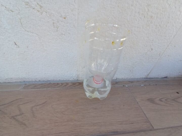 DIY outdoor fly trap