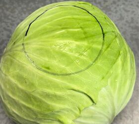 Draw a circle on a cabbage for this trick