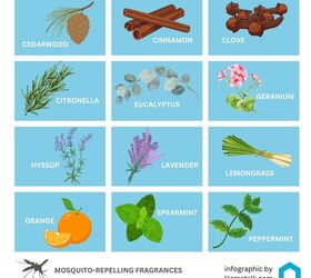 how to keep mosquitoes away, Mosquito repelling fragrances infographic