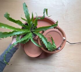 Placing a plant in the water feature