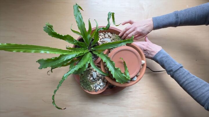 Adding Water and Decor