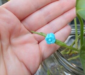 Gently slip beads onto your plants – the fun part begins! 🌱✨ #BeadsOnPlants #DIYDecor