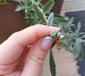 Adorn your green companions with care #PlantBling