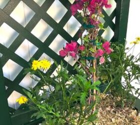 From filing cabinet to garden planter