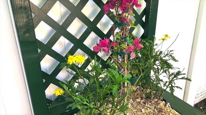From filing cabinet to garden planter