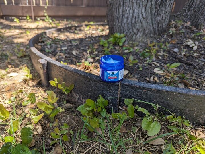 Deter slugs and snails