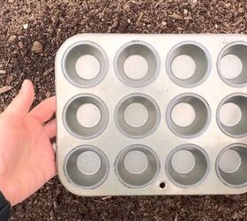 Tips for planting seedlings with muffin tins