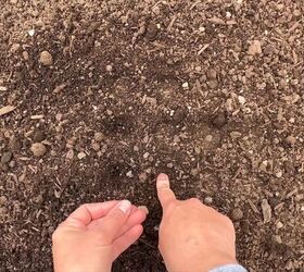 Perfectly spaced seeds using a muffin tin for easy gardening