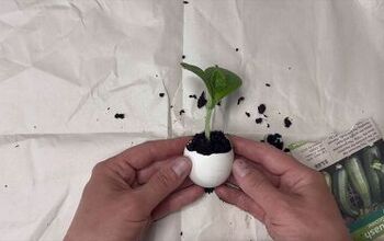 Gardening Made Easy: Simple DIY Tips and Tricks for Every Gardener