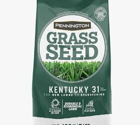 Grass Seed