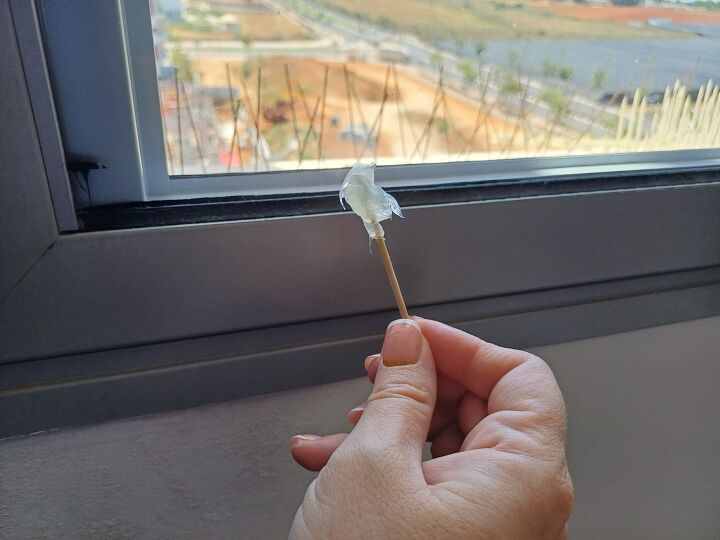 Botanical insect repellent