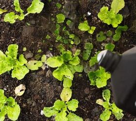 hydrogen peroxide to boost plant growth