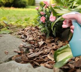hydrogen peroxide to boost plant growth