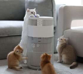 Discover the Wisesky W-Cat Air Purifier