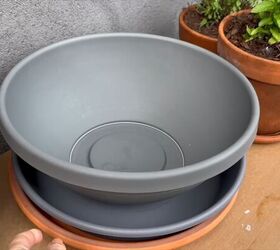 Choose a wide, low planter and matching saucer