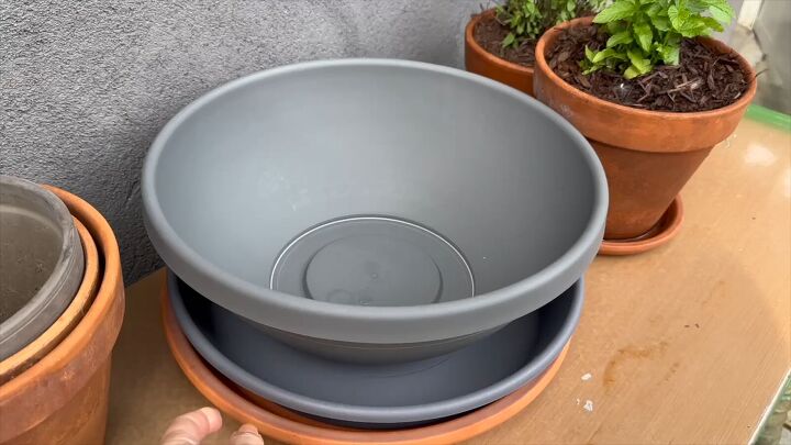 Choose a wide, low planter and matching saucer