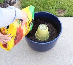 Fill the large pot with soil