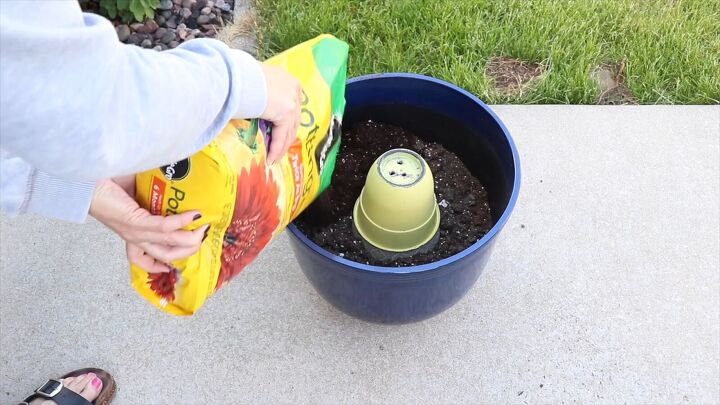 Fill the large pot with soil