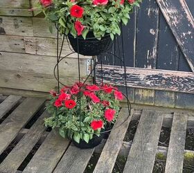 Arranging hanging flower baskets inside the wire planter baskets