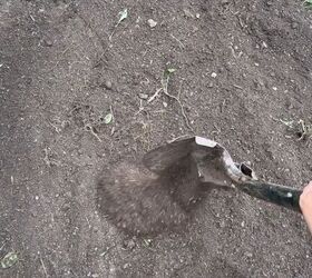 Step-by-Step Guide to Creating Concrete Rhubarb Leaves