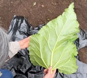 Functional leaf sculpture ideas